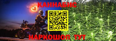прущие грибы Каменск-Уральский
